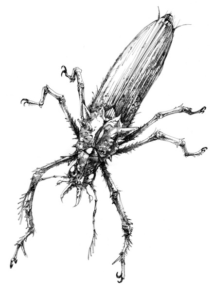 2006_Creature_Illust_02.jpg