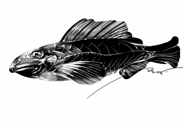 2011-02-03 12_01_44 +0000.jpg