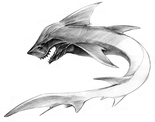Shark_001s.jpg