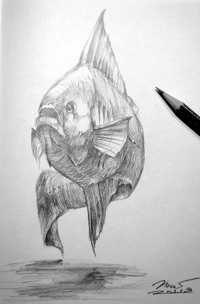 Sketch_Fish_201108_02.jpg