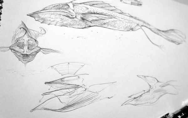 Sketch_Fish_201301.jpg